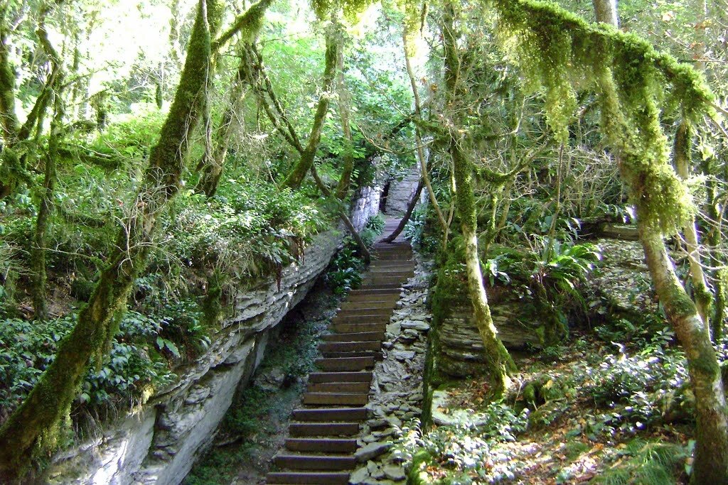 оборудованный ступеньки