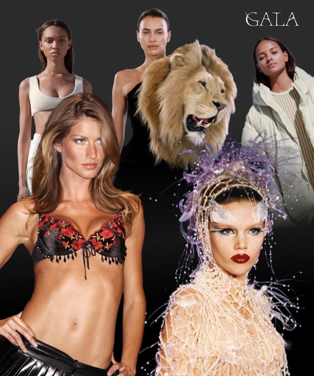 Автор фото: Ирина Звездина/GALA