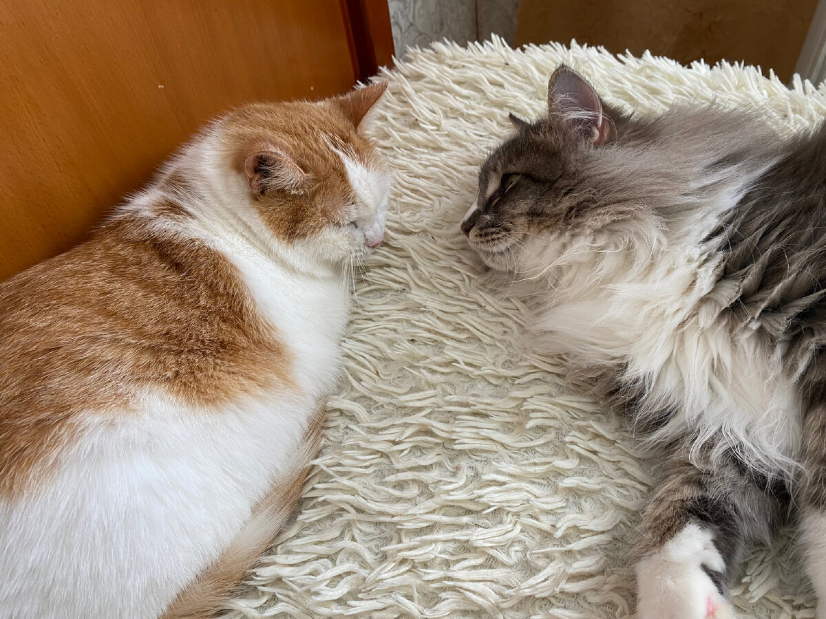 Че надулась?Больно было?