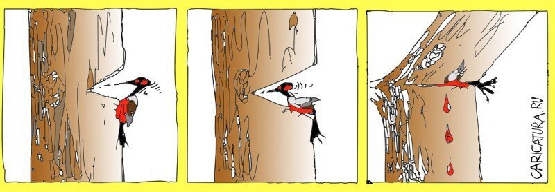 Создать карусельДобавьте описание