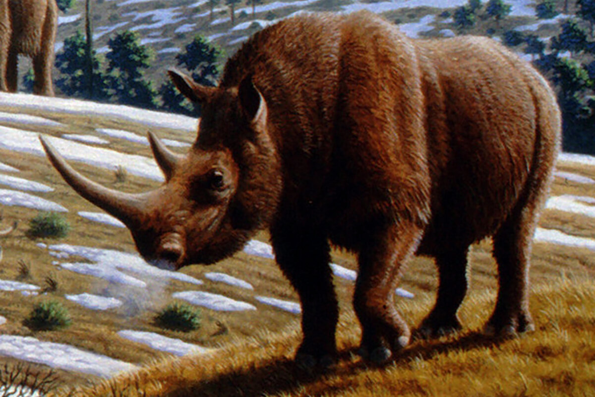 Mauricio Antón / Wikipedia📷Изображение шерстистого носорога (Coelodonta antiquitatis)