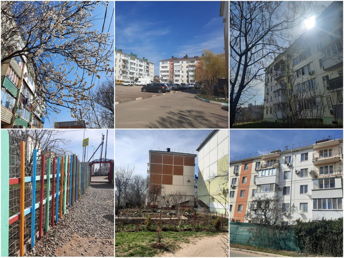 Фото которые мы сделали на прогулке