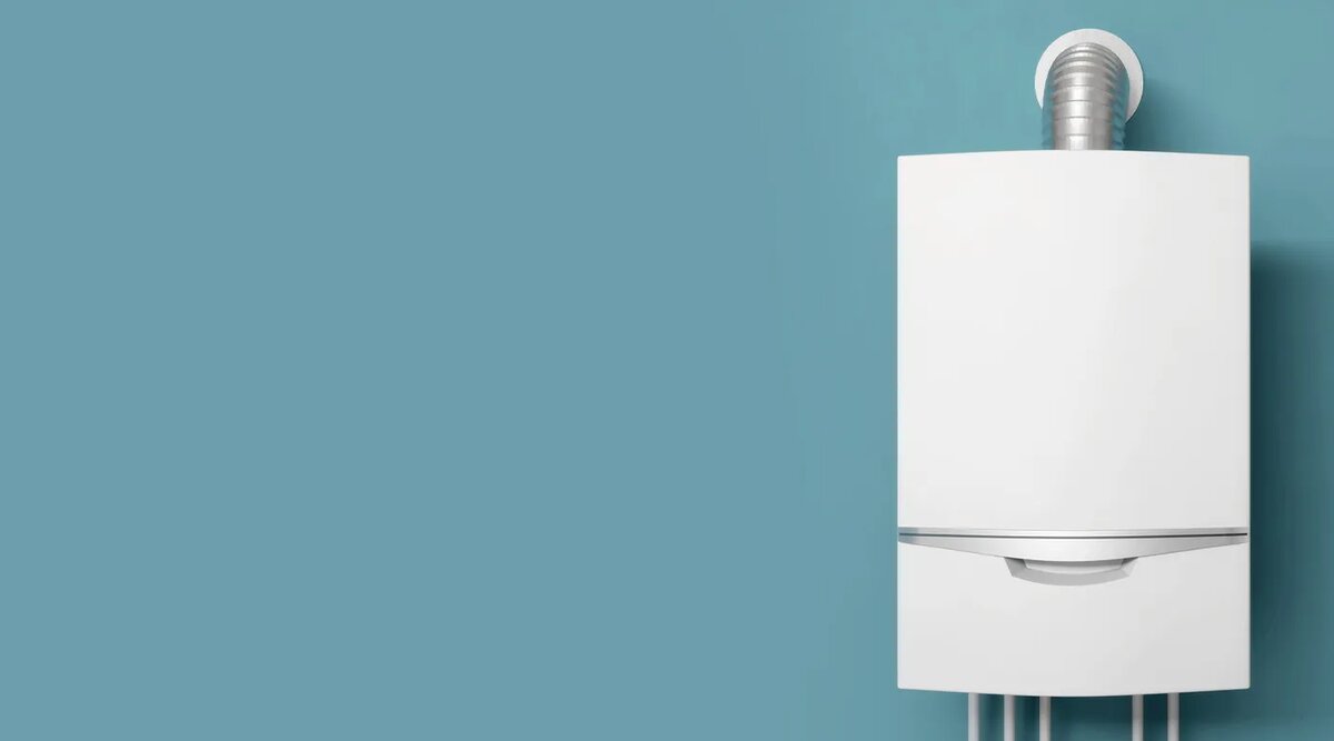 Источник: shutterstock.com