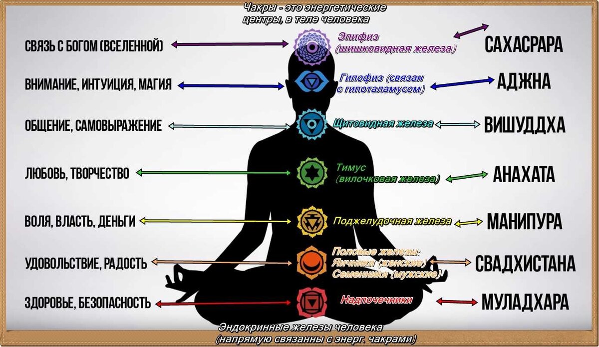 Понимание Энергетических Центров: Основы Чакр | Психология тут | Дзен