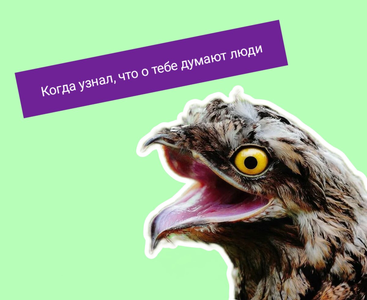 Птица выхухоль