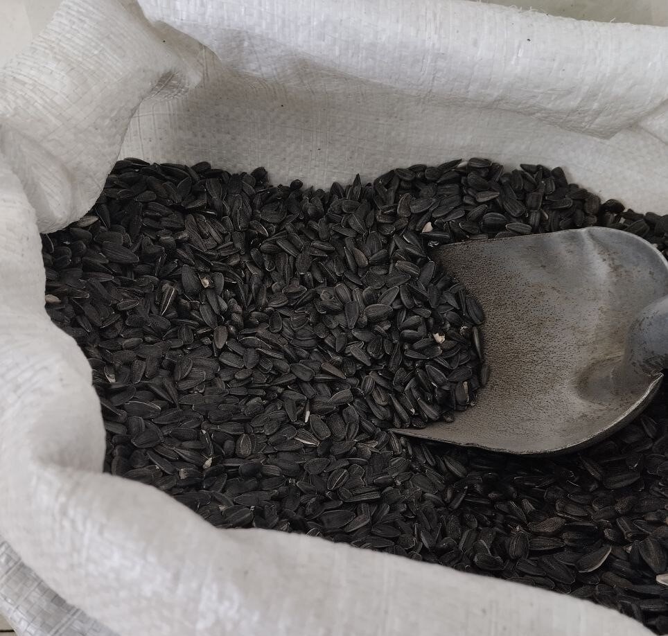 Фото: АПК Новости