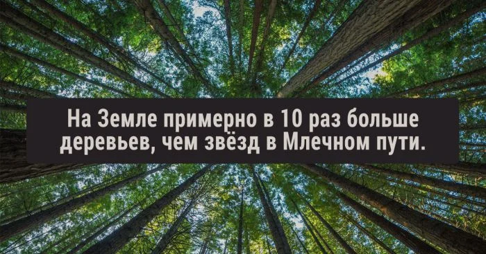 традиции приколы. давний существовать. путник у костра. давний существовать. дискуссия философия.