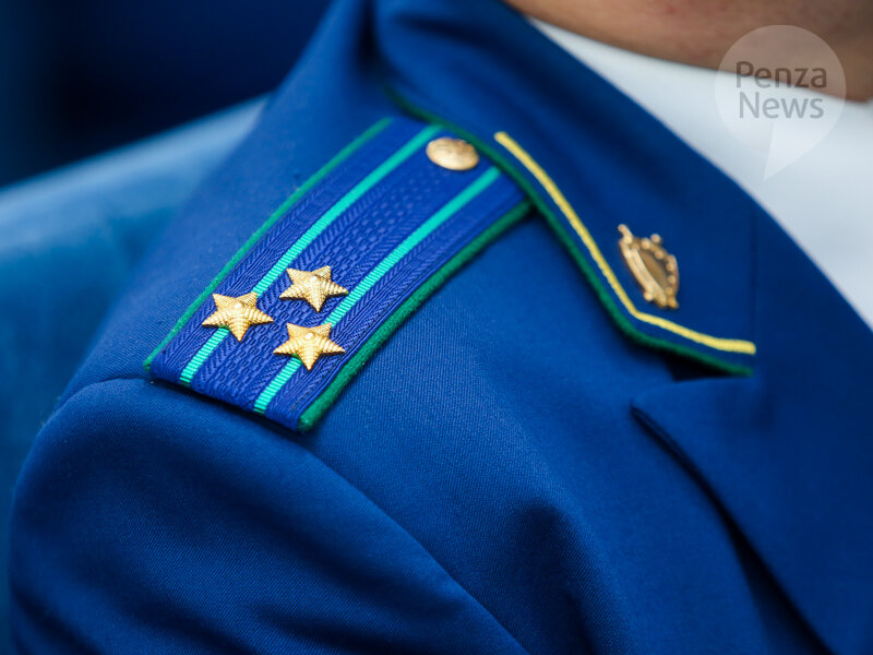    © Фото из архива ИА «PenzaNews»