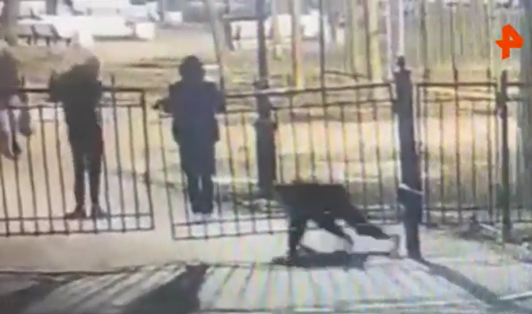 Фото: скриншот видео РЕН ТВ