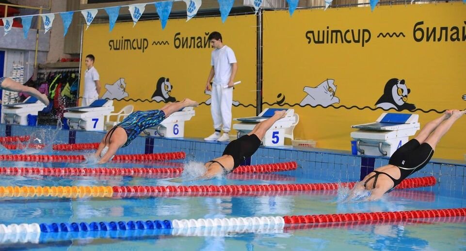    Международная серия «Swimcup»