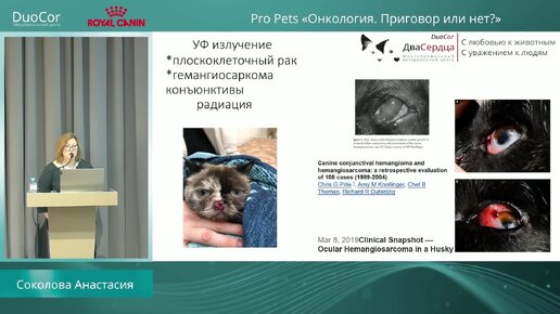 Клуб «Pro Pets». Лекция 2. Онкология. Приговор или нет?