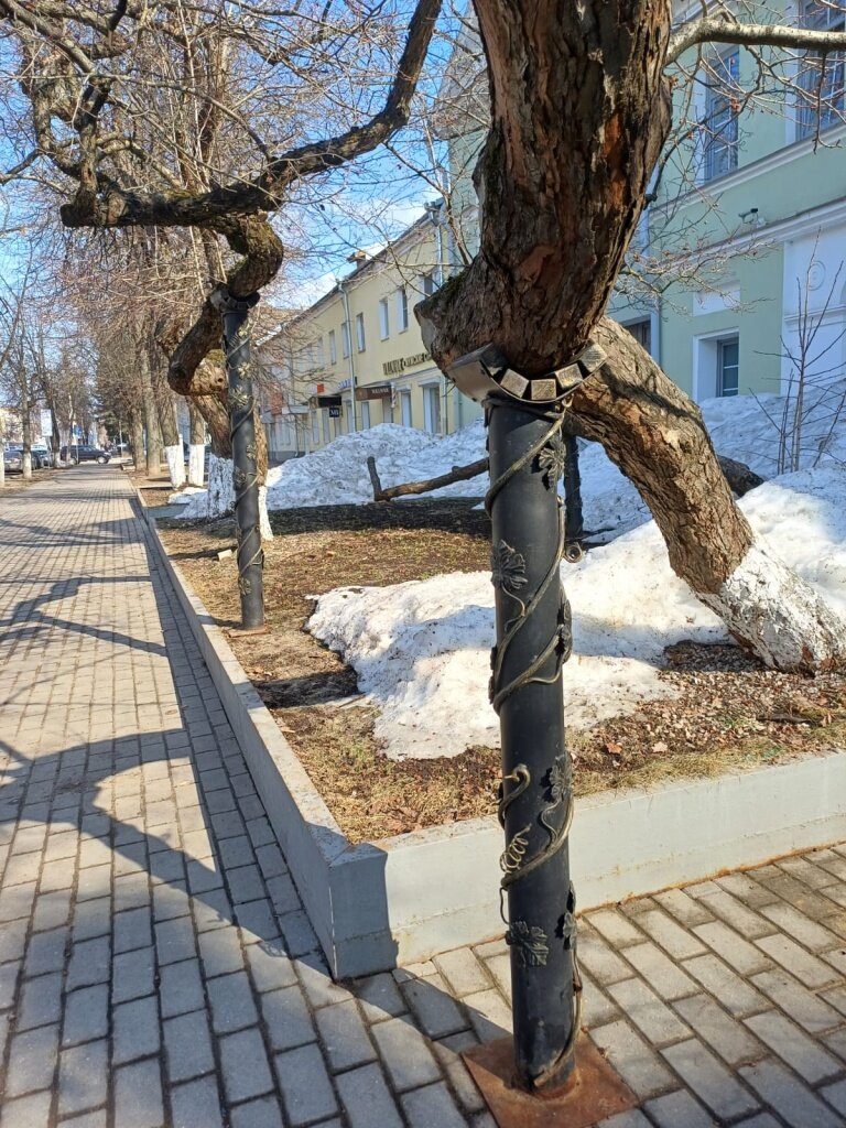 «Боярышник гибкий скорбященский»