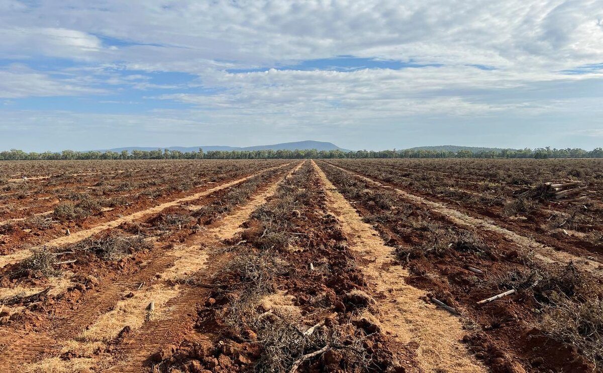 Источник - www.rbc.ru