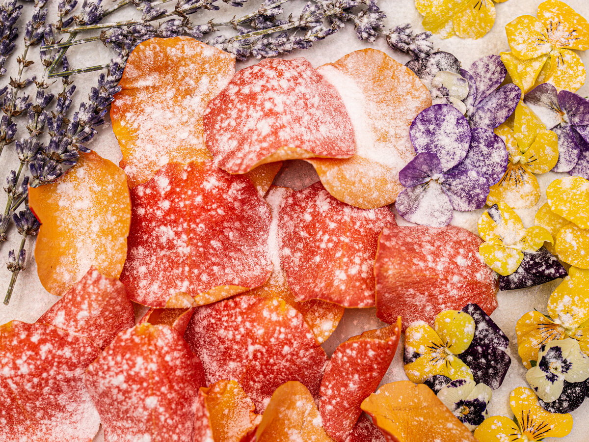 Фото из архива Фиолетового сна