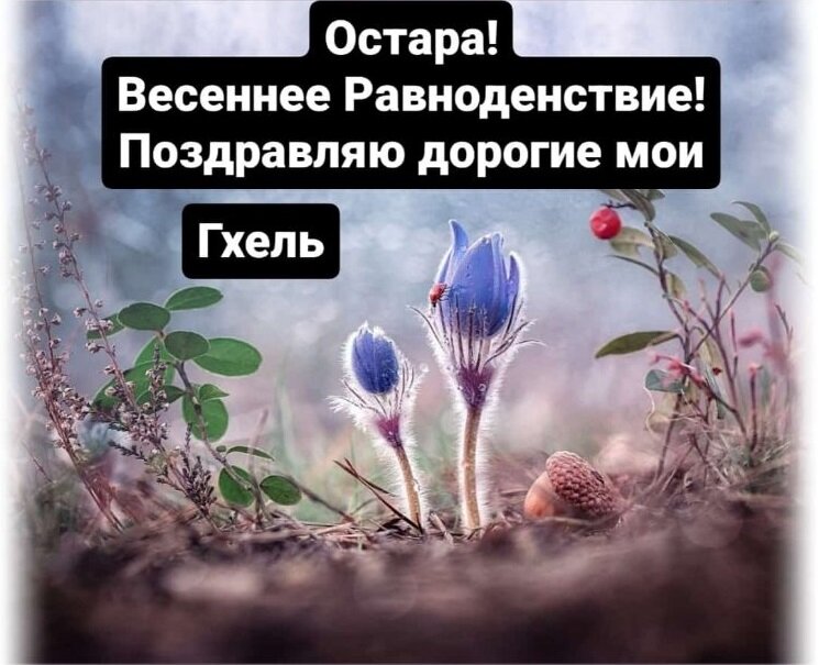 Гхель.