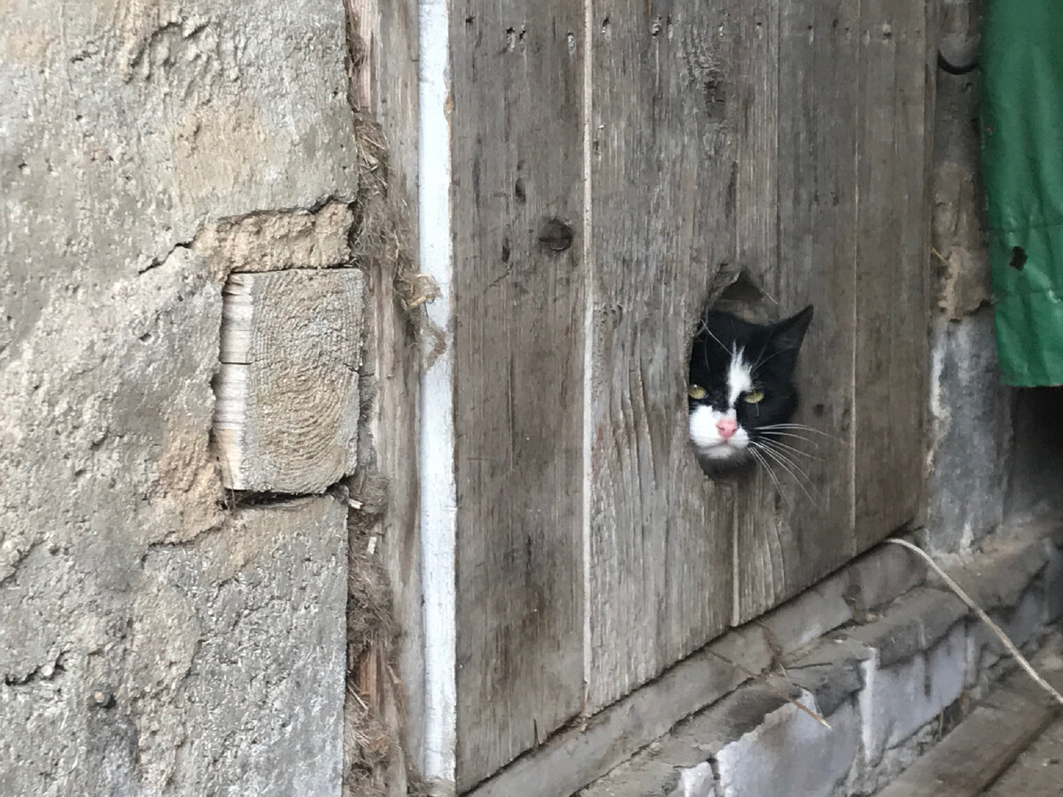 Фото автора