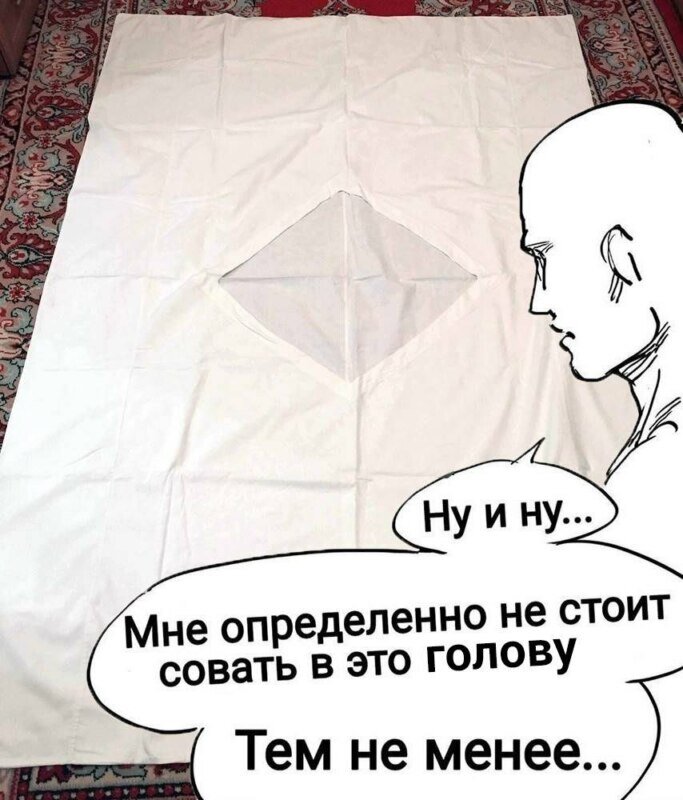 Определенно мне не стоит совать туда мем. Определенно мне не стоит совать туда мем