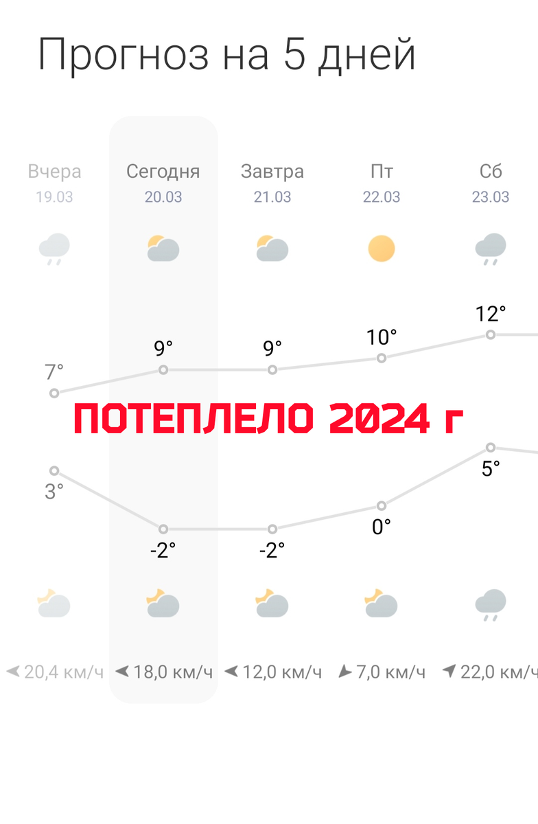 Погода на 5 дней