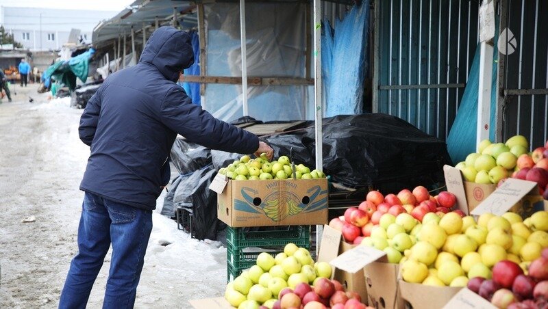      Фото: ИА «Победа26»