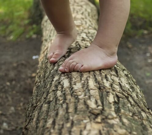 Источник фото: Интернет