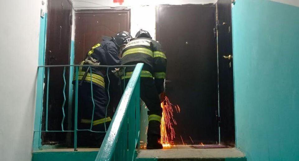    пресс-служба ГКУ МО «Мособлпожспас»