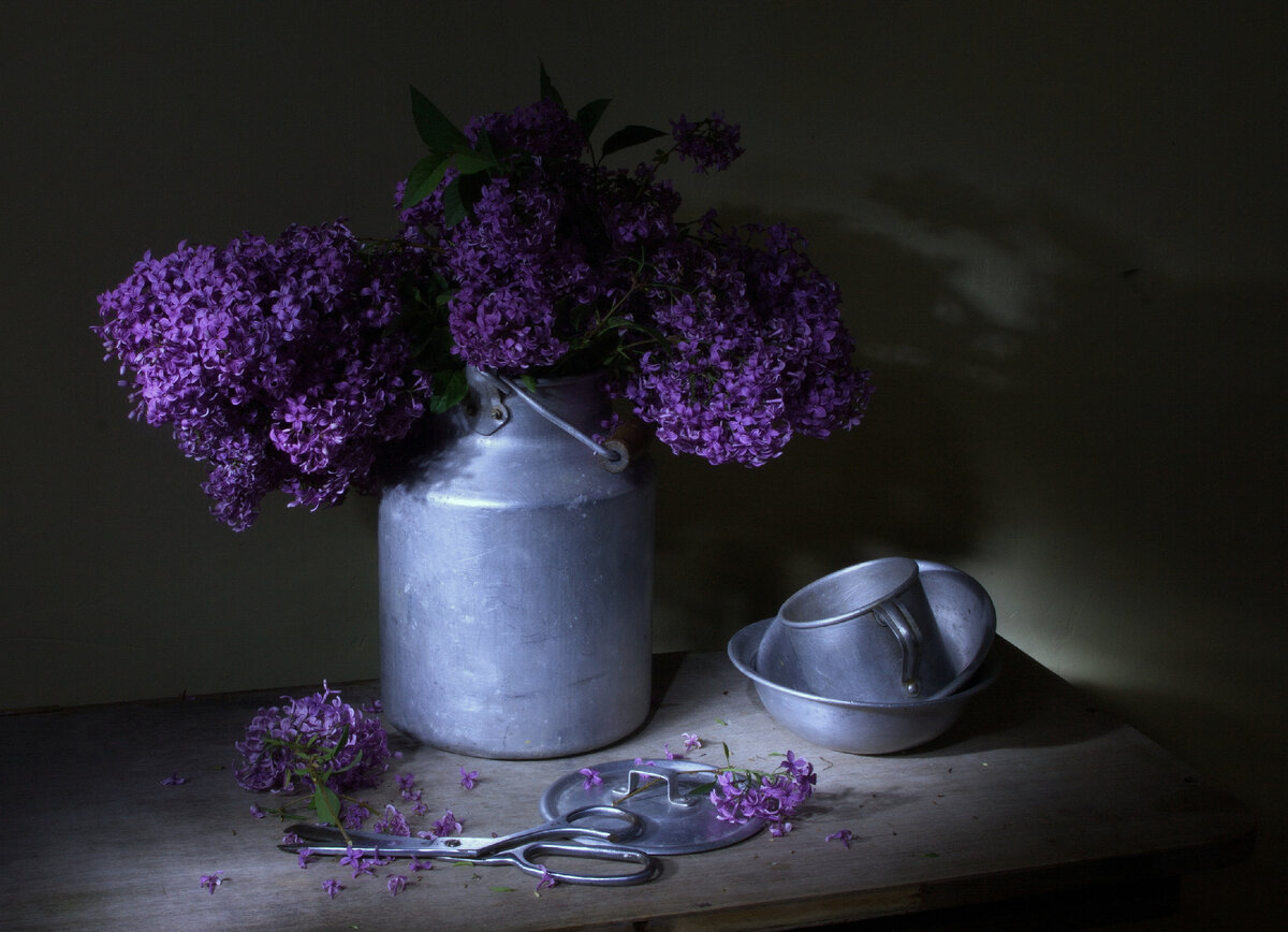 " От запаха сирени я проснулась..." (с)