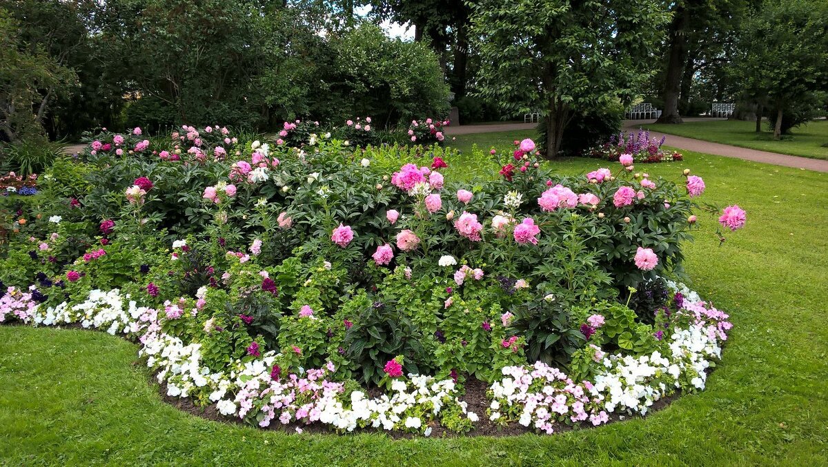 он часто заходил к ним