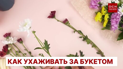 Как ухаживать за букетом?