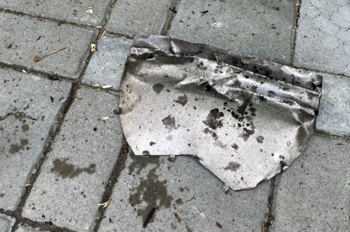    Эксперт Дандыкин раскрыл особенности сбитой над Курском ракеты С-200