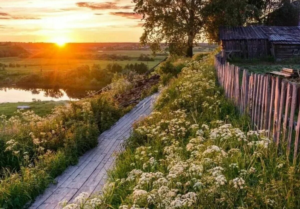 Взято из открытых источников.