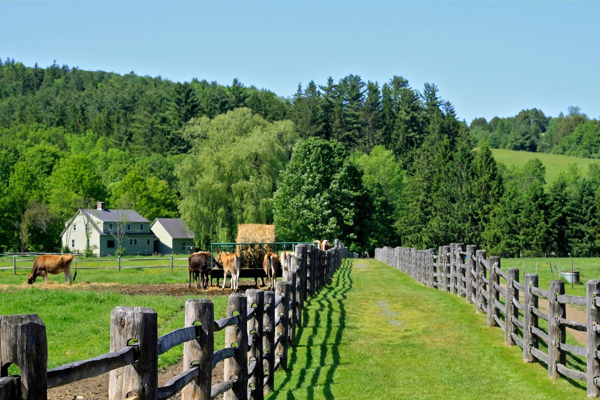 Взято из открытых источников.