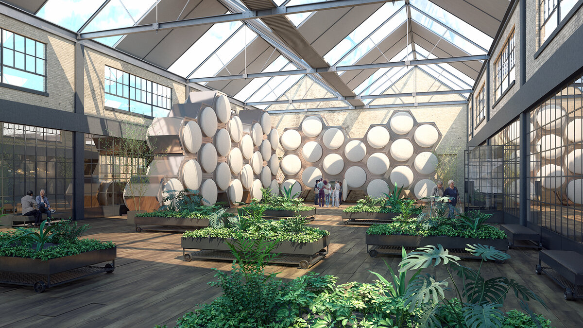 Экологически чистые способы захоронения: Инновации в погребальной индустрии и их влияние на окружающую среду (эко гробы, компостирование тел, кремация)