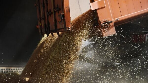    © Sputnik / РИА Новости