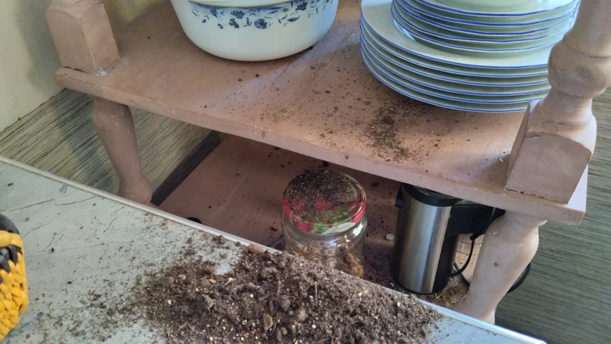 Погром на кухне и другие шалости Анфисы | Мадам из курятника | Дзен