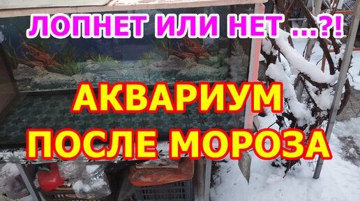 Миф про силикон аквариум после мороза