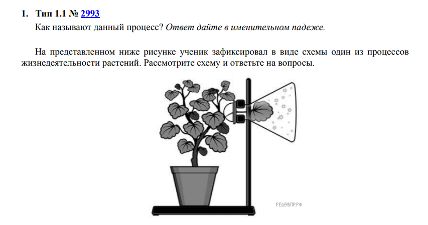Вариант №5, задание 1.
