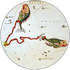 лунный посевной на февраль 2024 год. лунный календарь садовода и огородника 2022. календарь садовода. посевной календарь на 2023 год. лунный календарь на 2022 для посадок рассады.