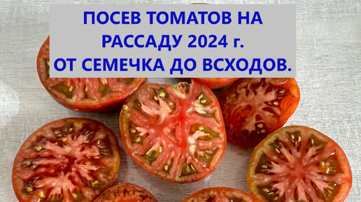 Посев томатов на рассаду 2024