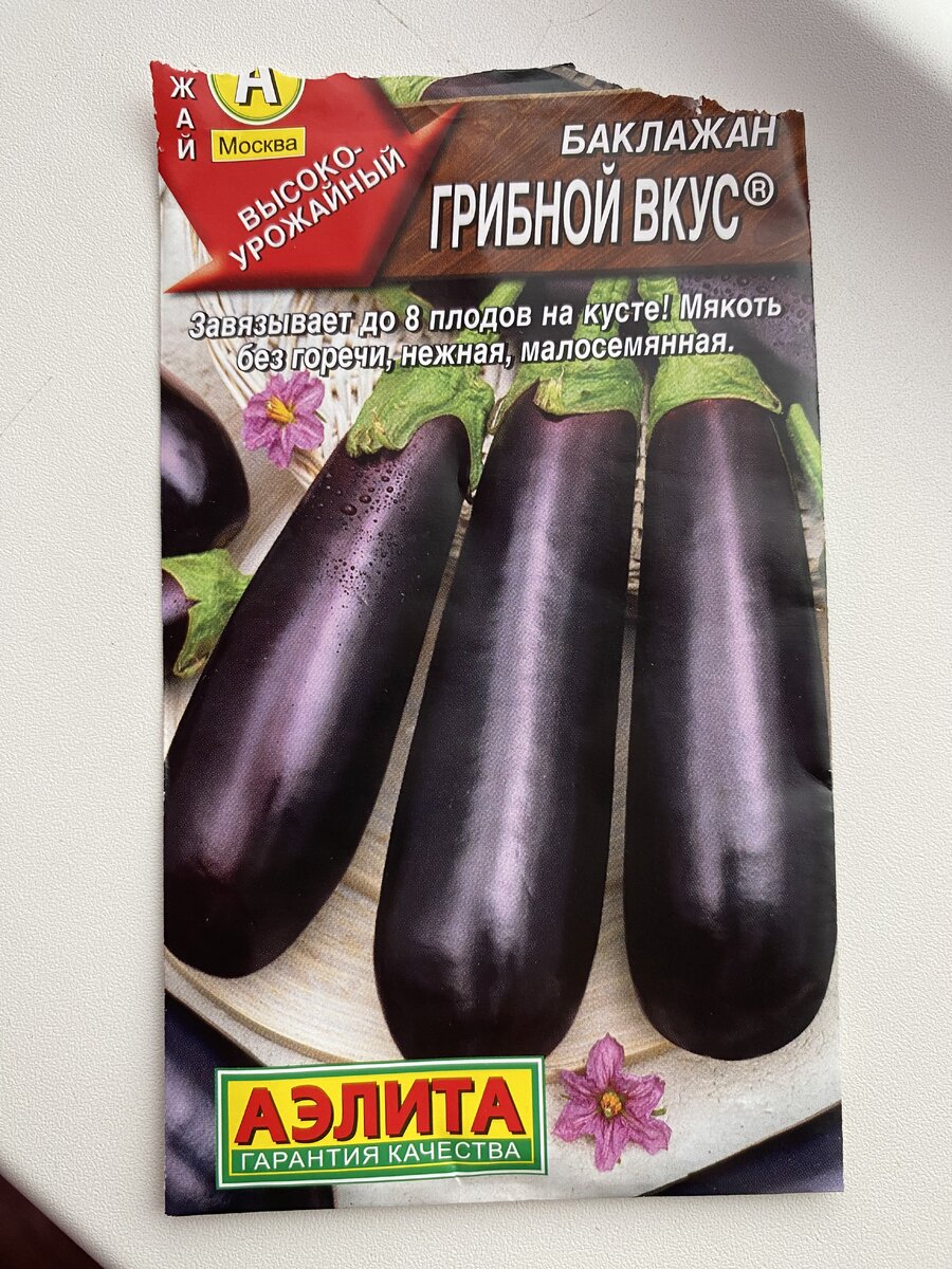 Фото взято из личного архива Irina Morgan