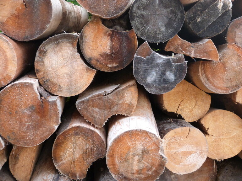 Фото: Baltphoto/ Елена Яковлева