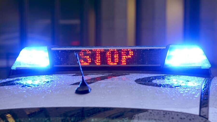 Фото: Global Look Press/dpa/Marcus Brandt