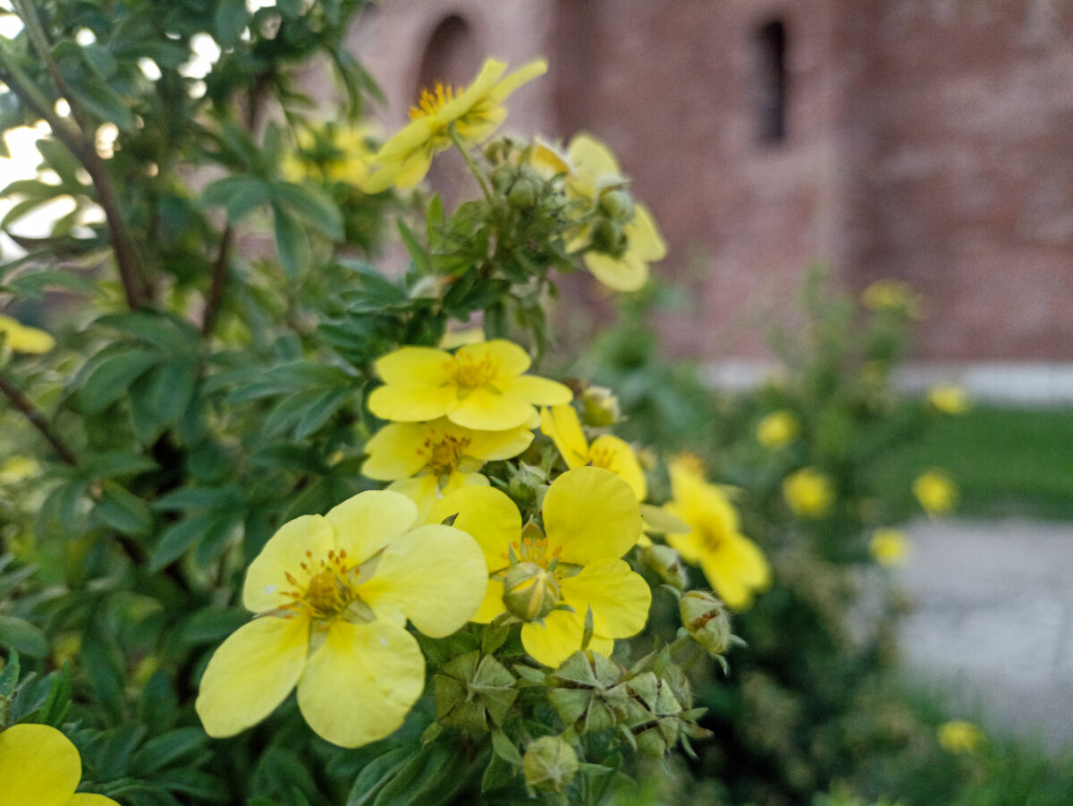 Город Смоленск