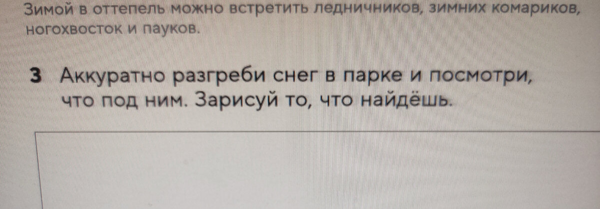 Я отправилась на автобус, а они, наверное, "зарисовывать")))