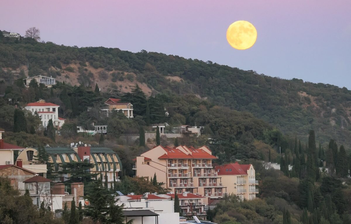    Проект, возникший в 20-х годах, историки называют «Крымская Калифорния»