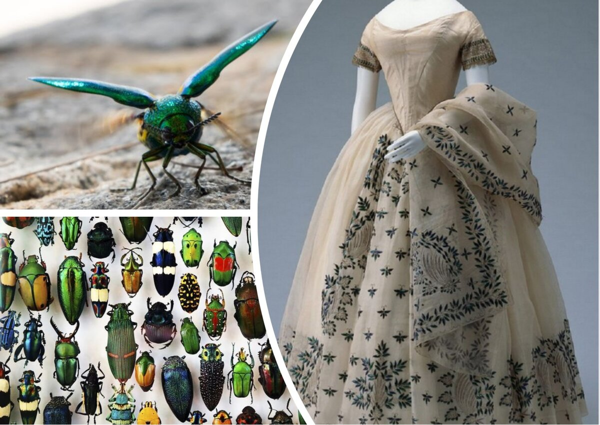 ������� ������. �����