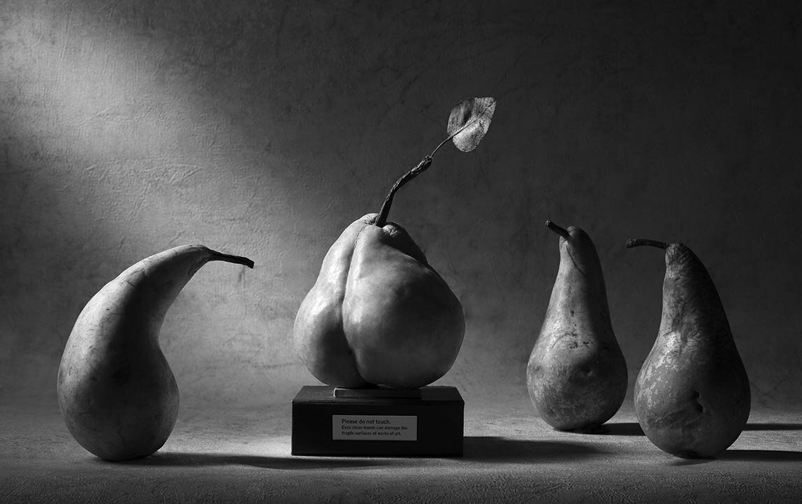 Фотограф Виктория Иванова. «На пьдестале».