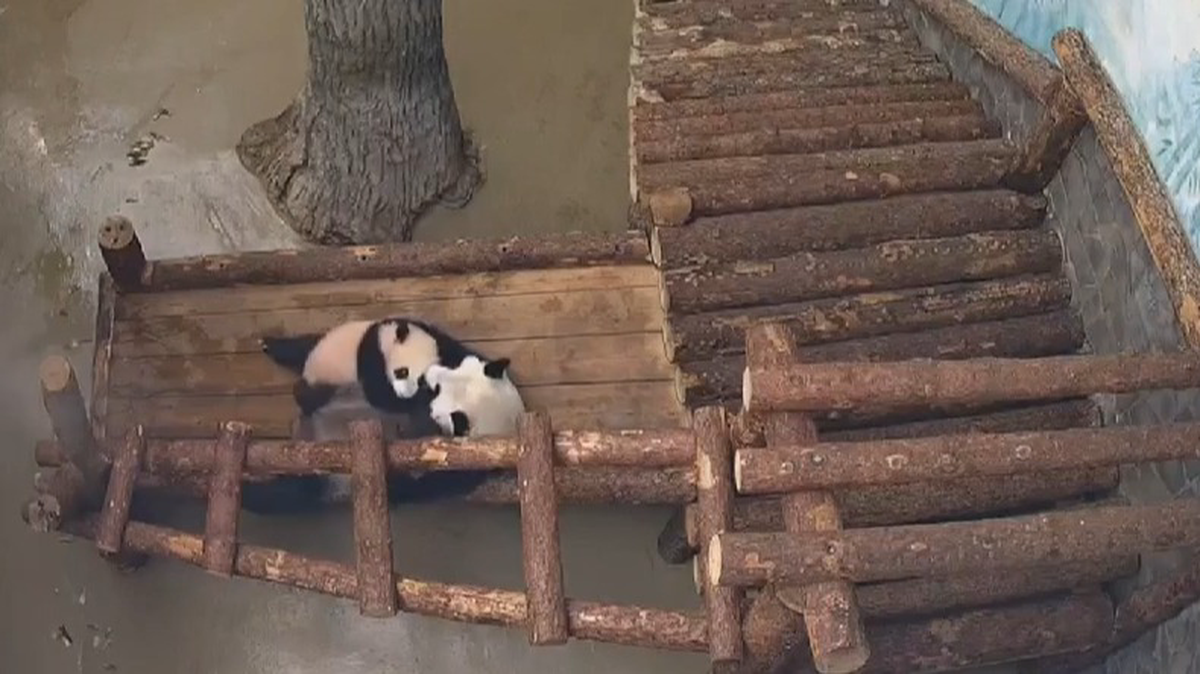    Фото: Telegram / Светлана Акулова