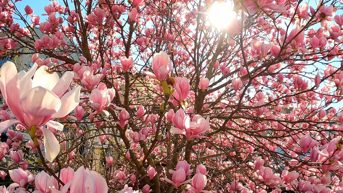 Фото мои, сам фотографировал! 
