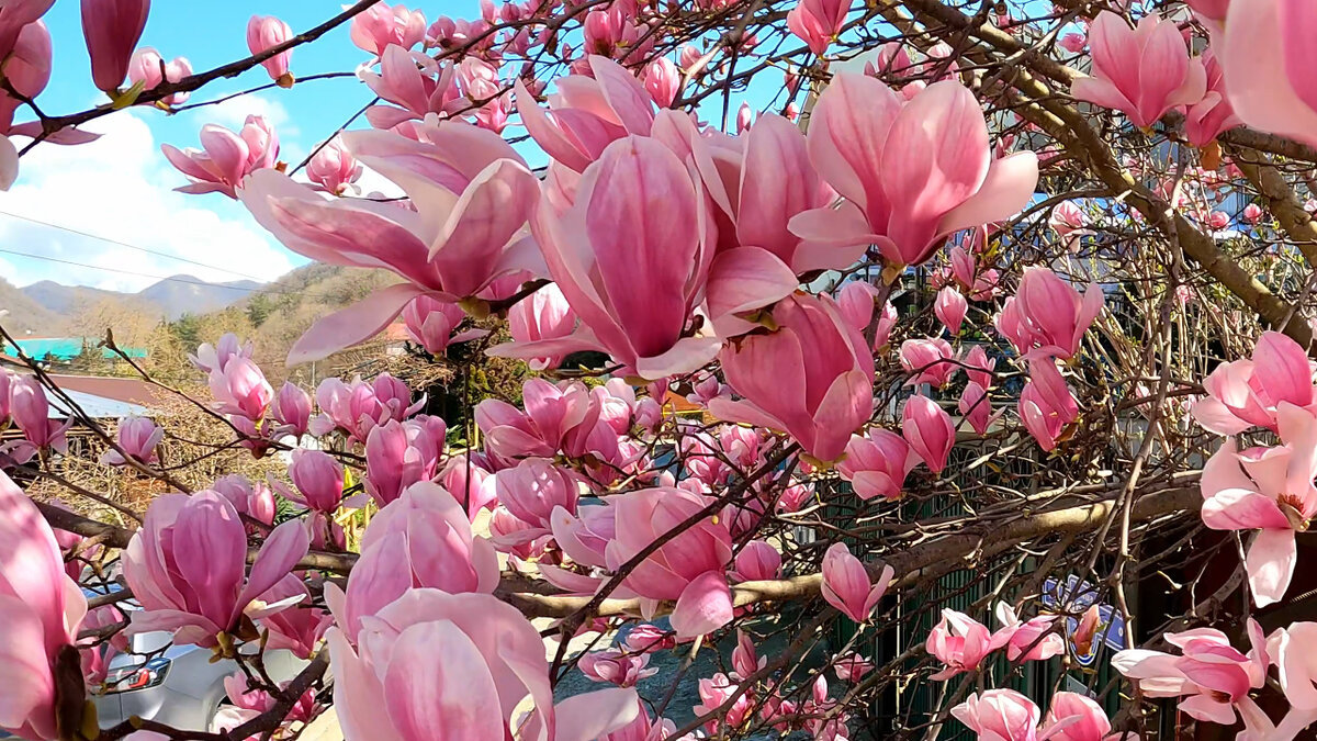 Фото мои, сам фотографировал! 