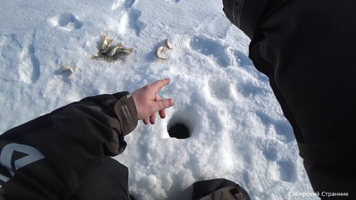 рыболовный календарь клёва. календарь рыбалки. давление для рыбалки. рыбалка на андроид 3d. клев 3.